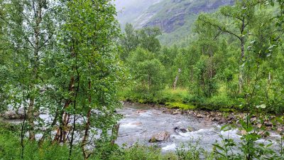 E 1 Balvasshyta Bis ca 4 km von der Graddis Fjellstue