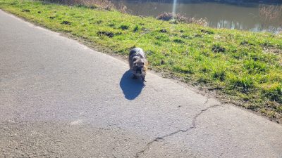 Lahnradweg von Stockhausen zum Dutenhofener See