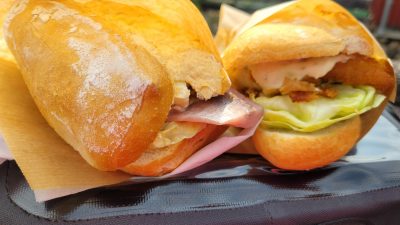 26. Tag von Schleswig bis Hjordkaer (DK)