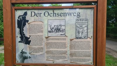 24. Tag von Wedel zum Campingplatz Bum