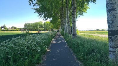 15. Tag vom CP ‚t Ol Gat zum CP Nieuwechans