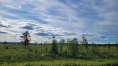 67. Tag von Gällivare nach Svappavaara